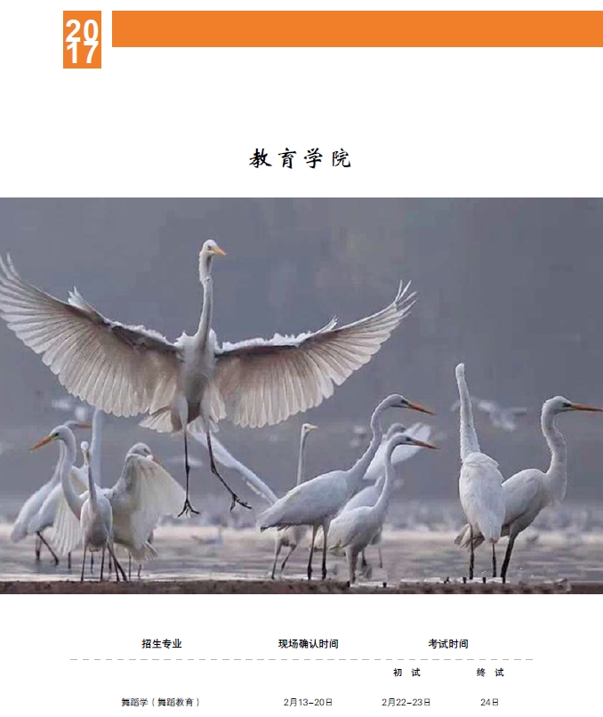 金韵艺考培训