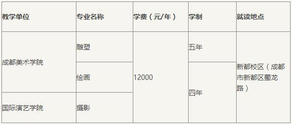 金韵艺考培训